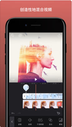 Enlight Videoleap iosV1.6.2 IOS