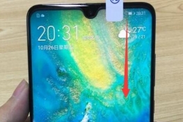 Ϊmate20xô¼