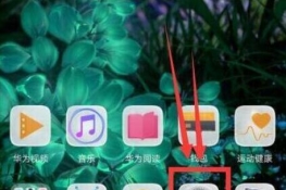 Ϊmate20xôʾ