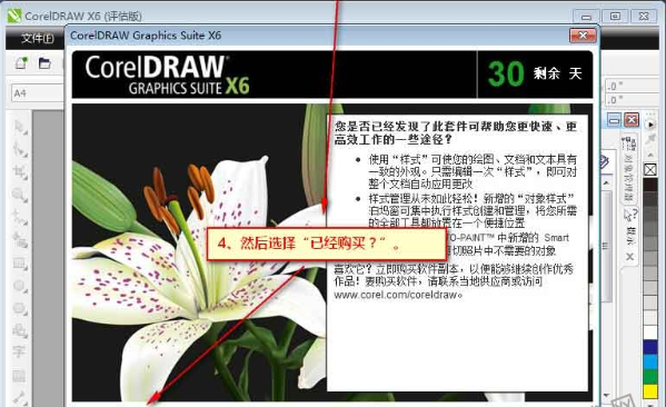 coreldraw x6кŴȫ