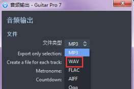 Guitar Proεwavļ˵