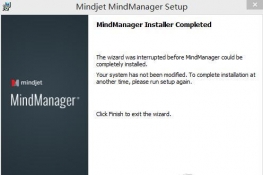 bMindManagerbД}