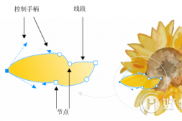 CorelDRAWʹ߶