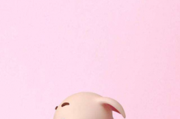2019ֻֽȫ