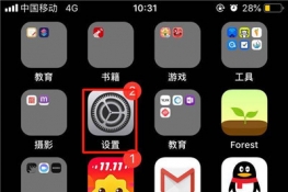 iphonex怎么禁用FaceTime？