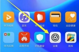 Ϊmate20xô٣
