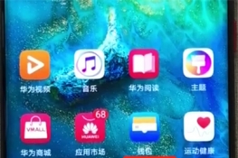 Ϊmate20xôƬ