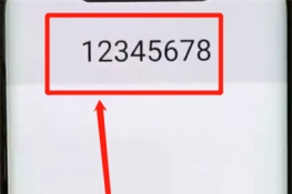 ΪMate20Xôϵˣ