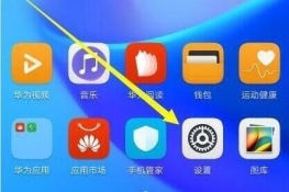 Ϊmate10proô٣