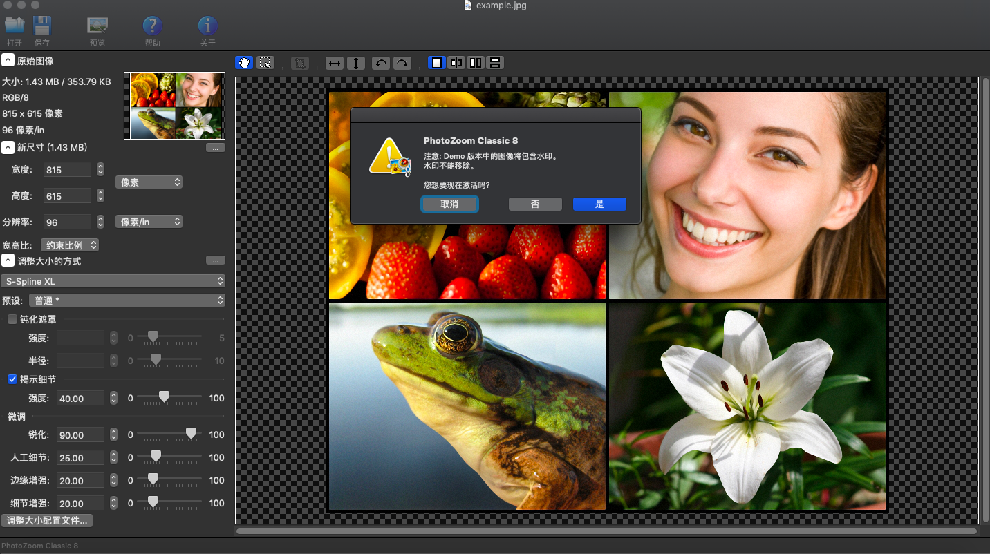 PhotoZoom Classic MacV8.0 MAC