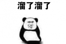 ˫ʲô