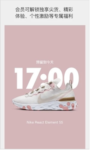 nike appV2.88.1 ׿