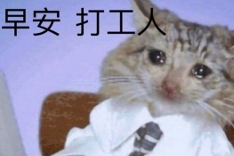 ʲô