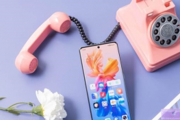vivox60proĻʲô