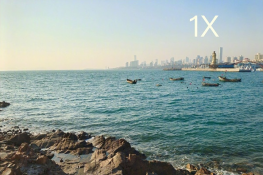 vivox60proֶ֧ٱ佹
