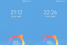 vivox60˫