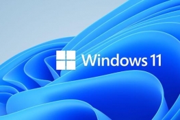 ΢Windows 11ϵͳʽƳ