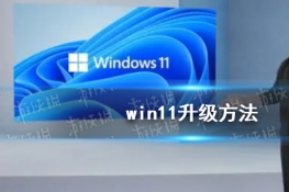 win11ô