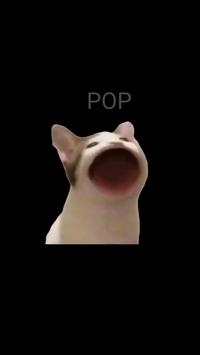 PopCatİV3.3 ׿