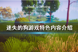 ʧĹϷò棿