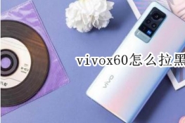 vivox60ô(lin)ϵ