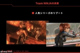 Team Ninja ƻϵ
