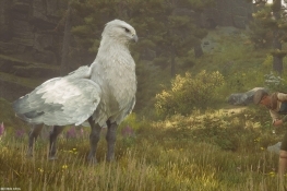 ֯PETAڡ֮šбħ