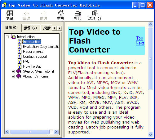 Top Video to Flash Converter(Flash)V2.0 ɫر