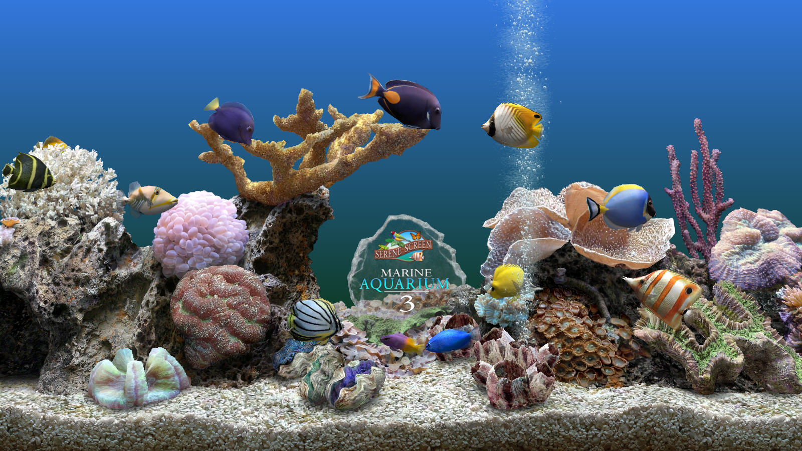 Marine Aquarium 3(ˮ)ر