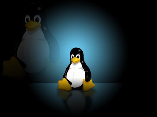 Linux Kernel(ϵͳ)V3.13.4 ӢĹٷװ