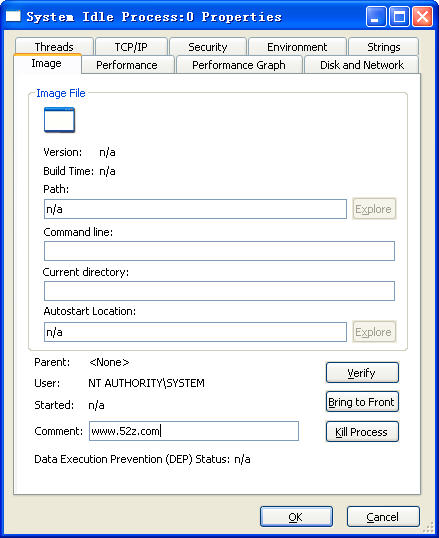 Process Explorer(̹)V16.01 ӢɫѰ