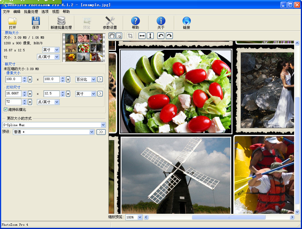 PhotoZoom Pro(ͼƬŴ󹤾)V4.1.2 ر