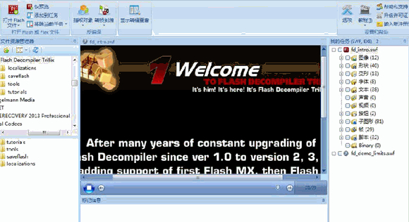 FlashV5.3.1370 ƽ