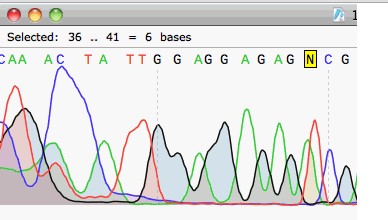 SnapGene Viewer(DNAͼ׷)V2.2.0 ɫ