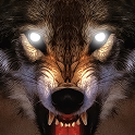 Ⱥ2014(Life Of Wolf 2014)V1.0 ׿