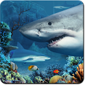 㽸ʯֽ̬ Shark Reef Live WallpaperV1.00 ׿