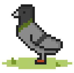 Ӻϳɣ비둘기키우기 V2.2.4 ׿