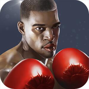 ȭ֮Punch Boxing 3D V1.1.0 ׿