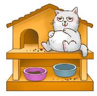 Cats house V2.0 ׿