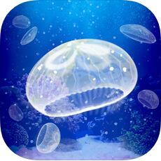 ellyfish Aquarium Free V4.4 IOS