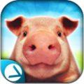 Pig Simulator 2015СģV1.1.1 IOS