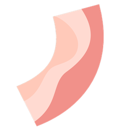 Bacon V1.23 ׿