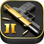 iGun Pro 22.36