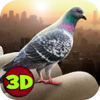 ģPigeon Simulator 2019V1.0 ׿