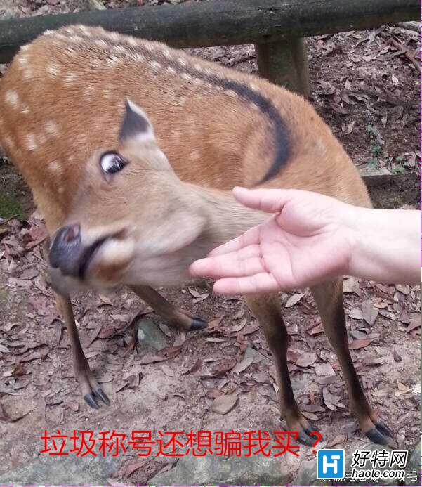ʥ֮ۺ֮ӣݸ˭ʺPK