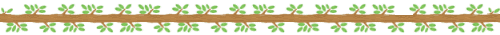Ϊʲô˵dnfĻǿװ