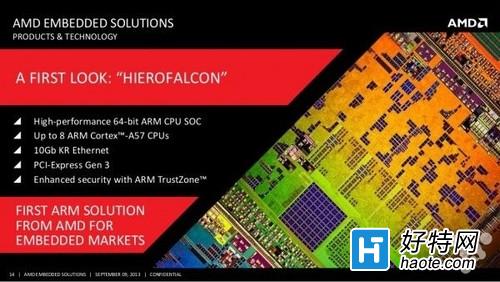 AMD׿64λARMܹcpuع⣺Hierofalcon