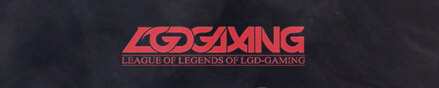 LGDٴγζ ֧