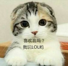 һLOLŮһ?