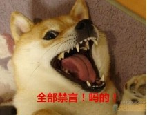 S6λӲҪ Сθ㶨